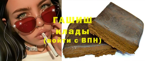spice Богородицк