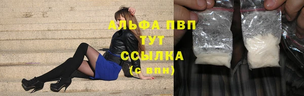 спайс Богданович