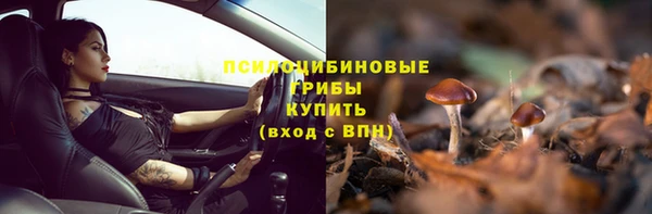 дживик Белокуриха