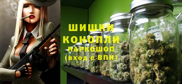 дмт Протвино