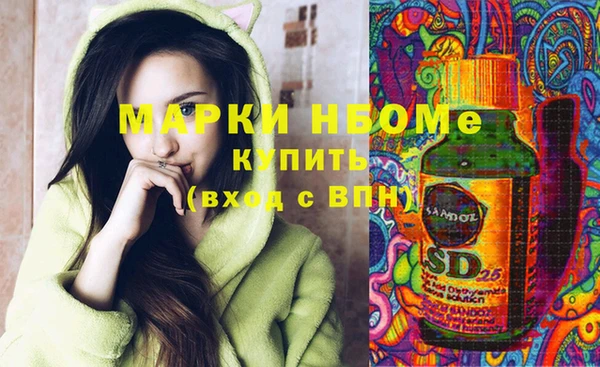 spice Богородицк